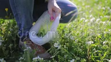 一个女人收集野生草莓和草药。 替代草药。 收集药材